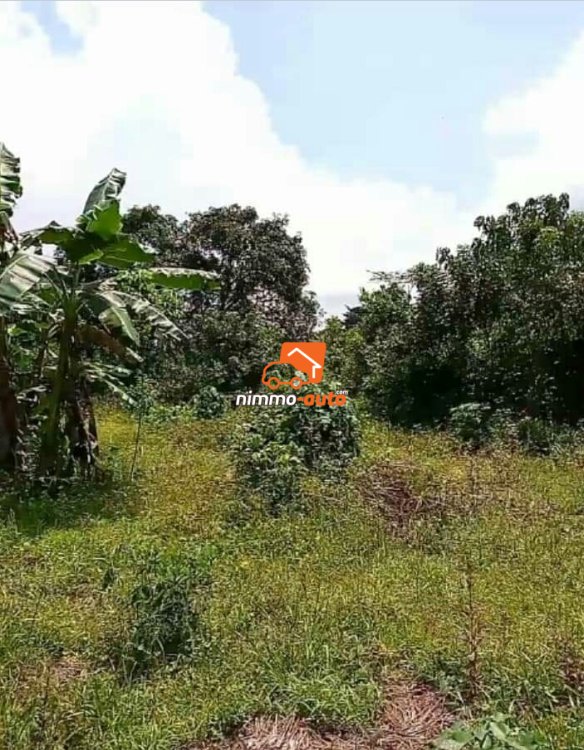 Terrain a vendre pk 27entrée Guinness