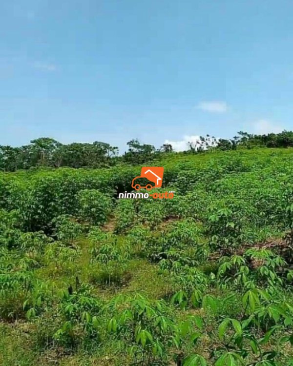 Terrain a vendre pk 27entrée Guinness