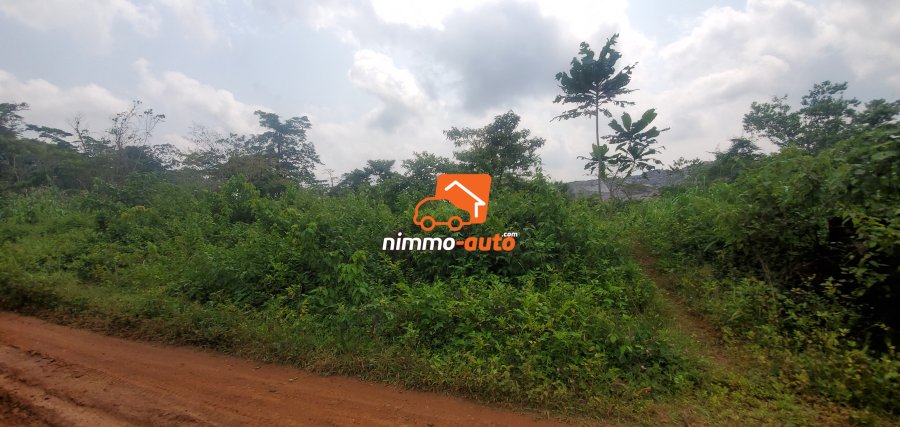 Terrain à vendre à Mbankomo