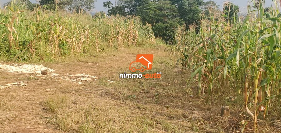 Terrain à vendre à Nkolnda