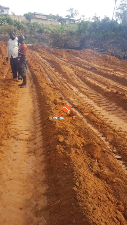 MFOU (Sur la route Monti)