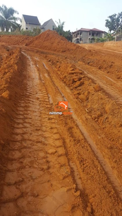 MFOU (Sur la route Monti)