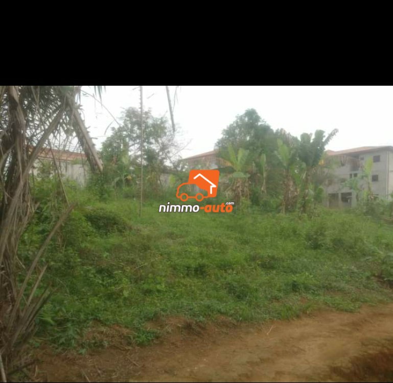 Terrain a vendre niveau de Simbock précisément au carrefour Ebanda