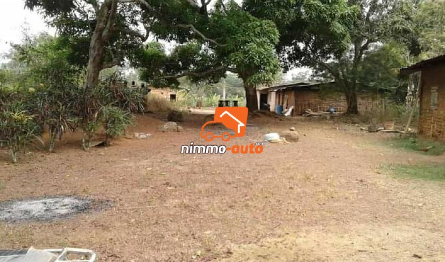 Terrain à vendre sur la route de mfou