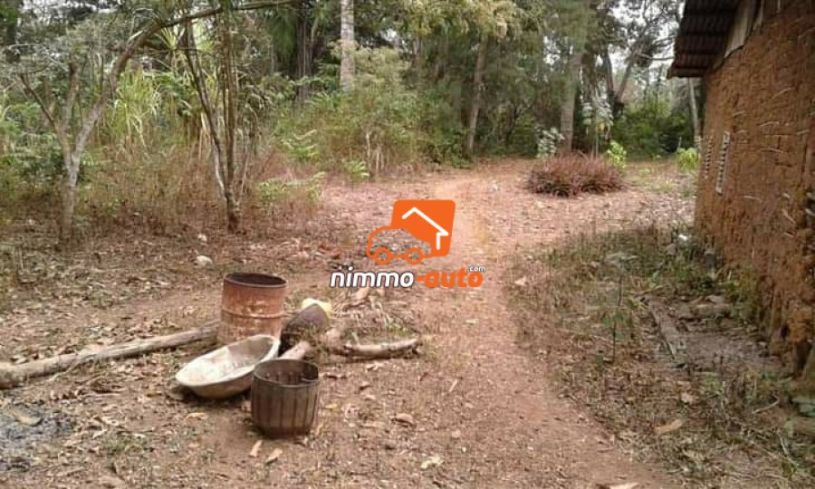 Terrain à vendre sur la route de mfou