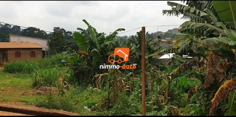 Terrain a vendre mimboman