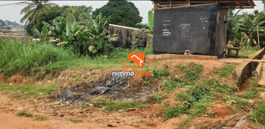 Terrain a vendre mimboman