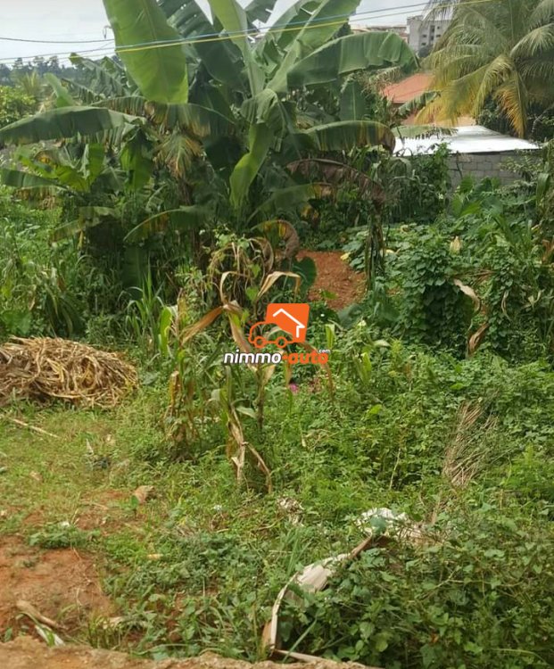 Terrain a vendre mimboman