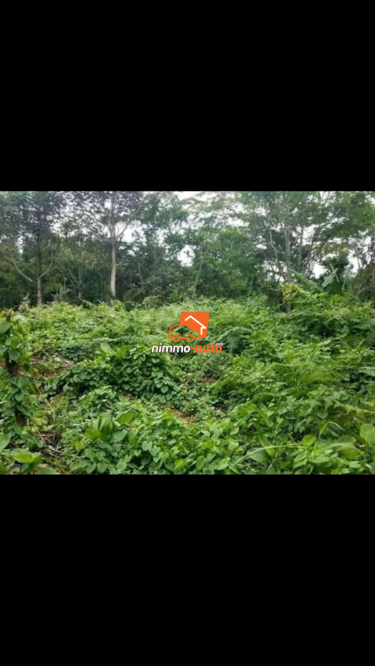 Terrain à vendre Nkolafamba
