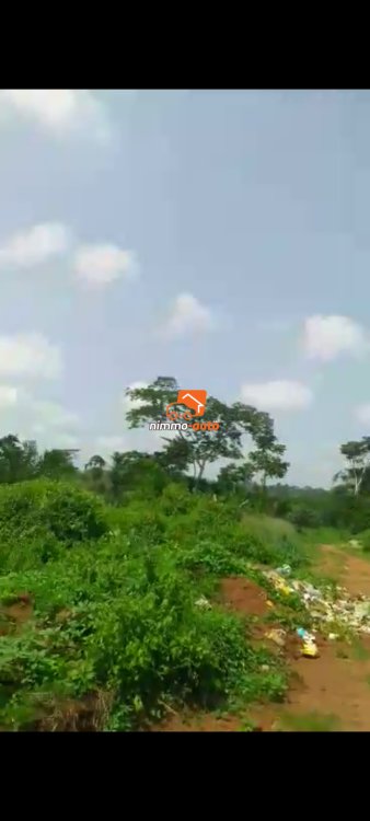 Terrain à vendre à Nkozoa entrée dispensaire