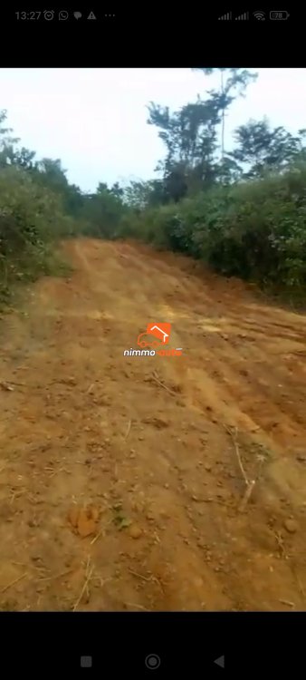 Terrain à vendre à Lobo