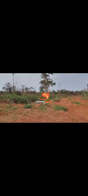 Terrain à vendre à mekoumbou par afan oyoa et cimencam