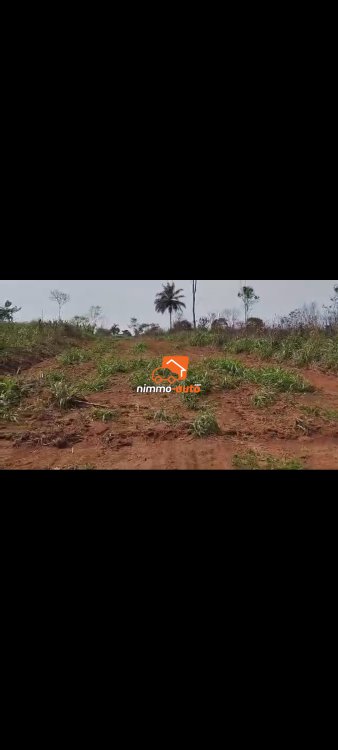 Terrain à vendre à mekoumbou par afan oyoa et cimencam
