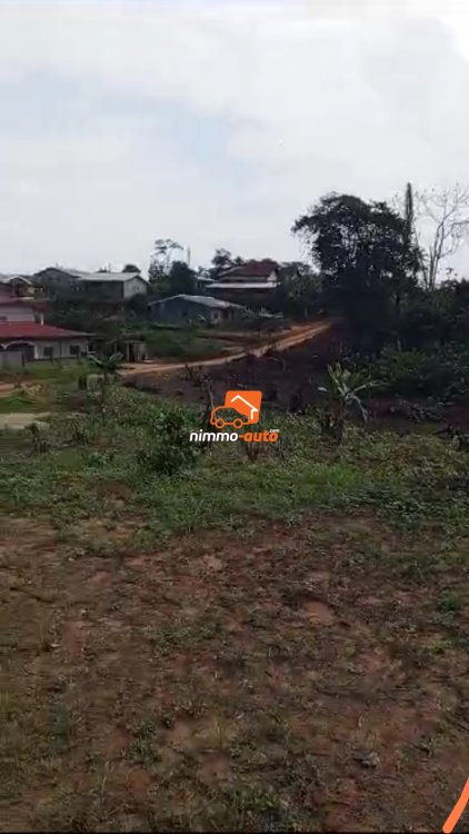 Terrain à vendre à 3km du carrefour yassa à Douala