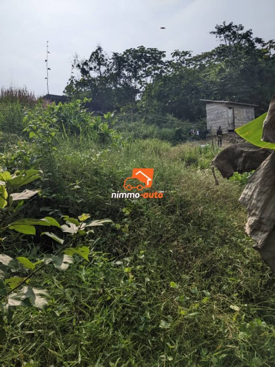 OFFRE EN OR du coté de lendi