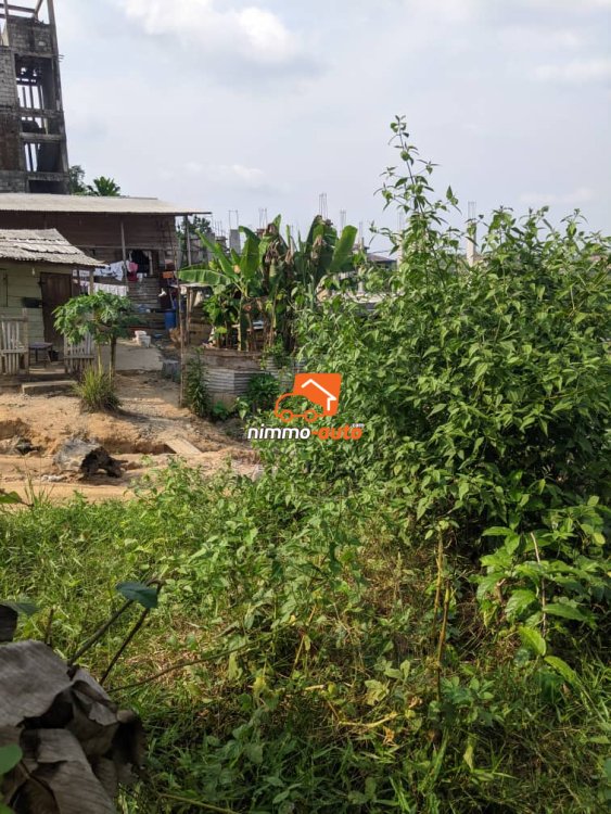 OFFRE EN OR du coté de lendi