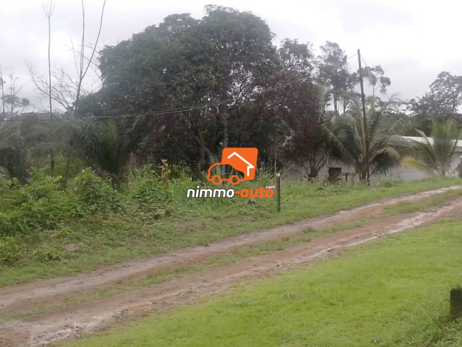 Terrain titré à Vendre à Kribi