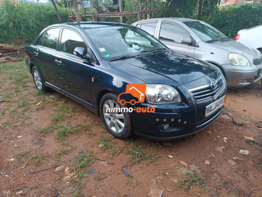 Tête de cochon à louer