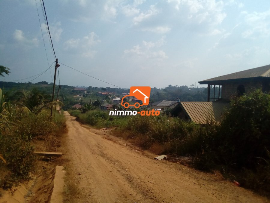 Terrain titré moins cher à vendre à Nkolnda