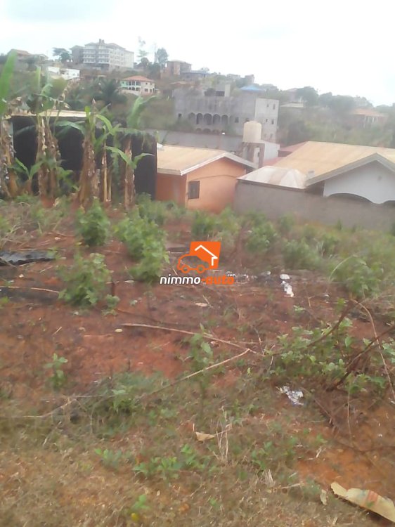 Terrain titré et loti à vendre à Odza borne 12