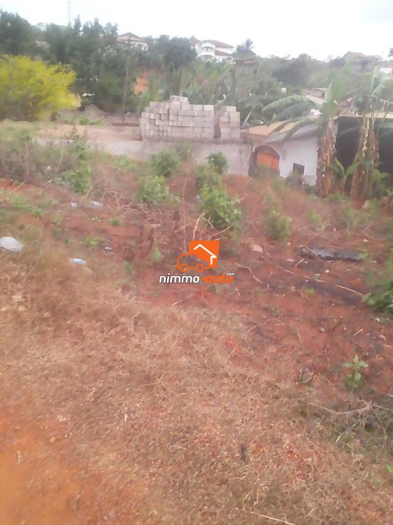 Terrain titré et loti à vendre à Odza borne 12