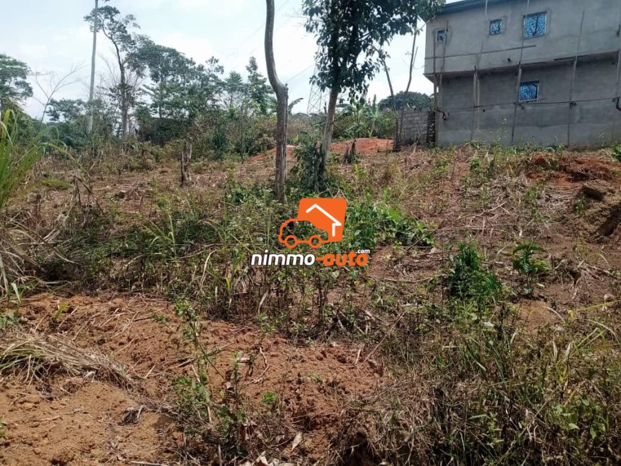 Terrain de 500m² Titrés à vendre à Nomayos