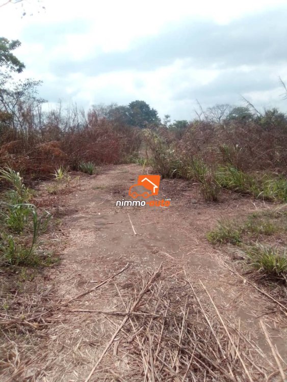 Terrain titré et loti à vendre à Obala