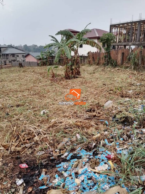 Terrain titré à vendre à Odza Fecafoot