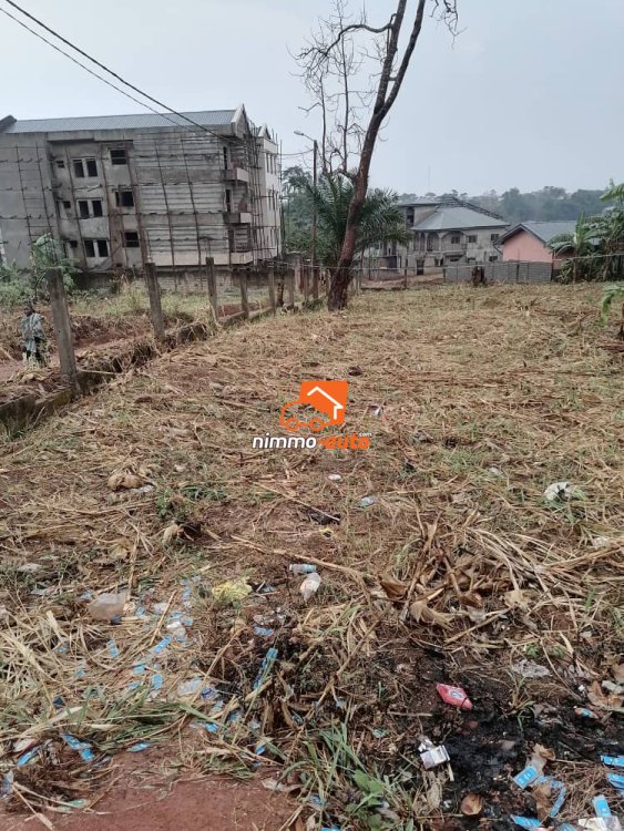 Terrain titré à vendre à Odza Fecafoot