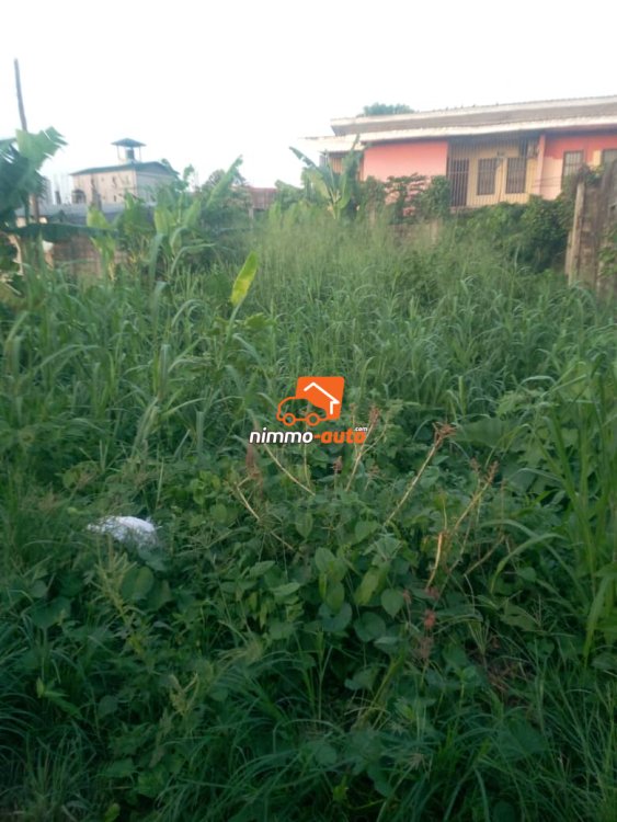 Terrain à vendre à Bangue à Douala