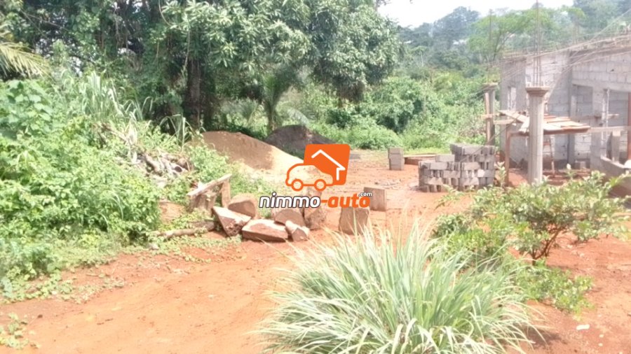 Terrain à vendre à Yaoundé Leboudi