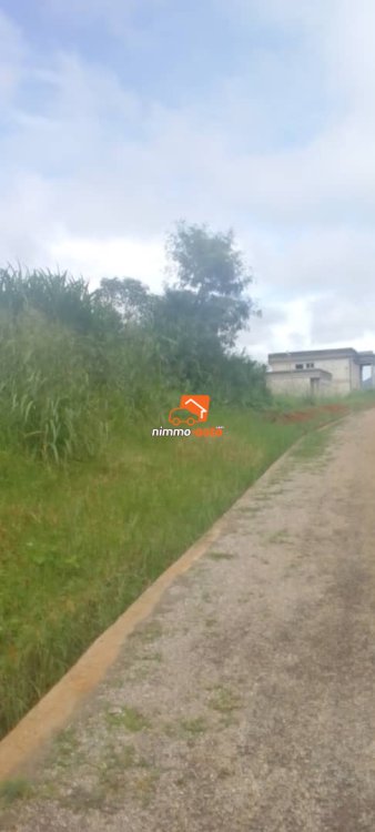 Terrain à vendre à Nkolbisson