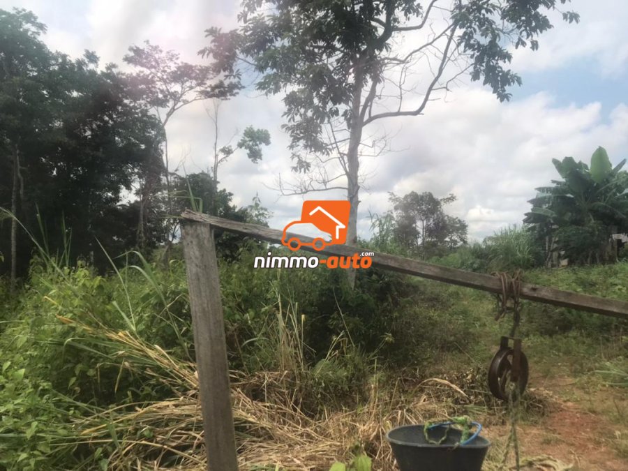 Terrain à vendre à Nsimalen