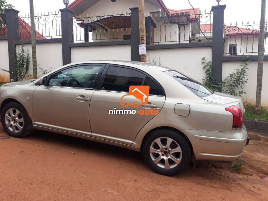 Tête de cochon à louer