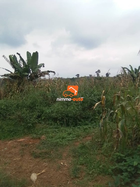 Terrain à vendre à Nkoabang