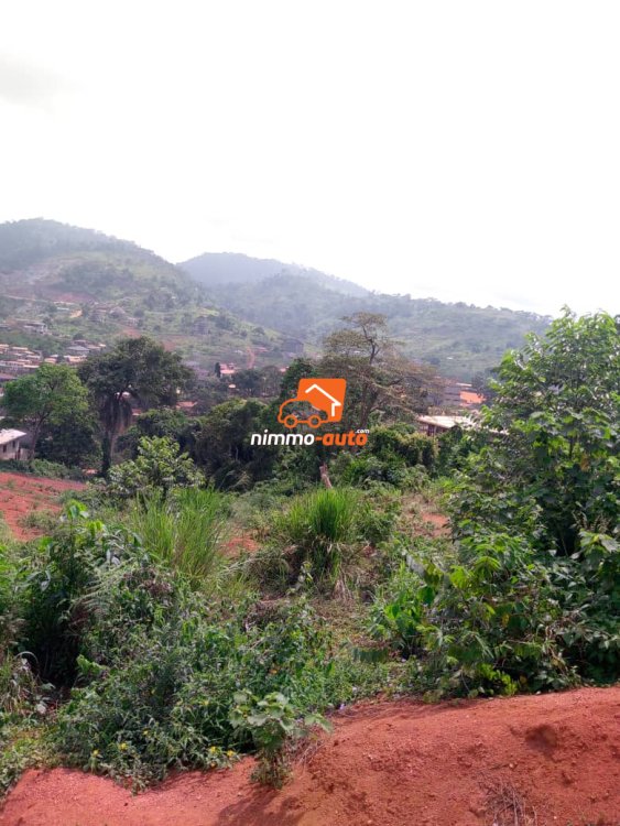 Terrain Titré à vendre à Febe village