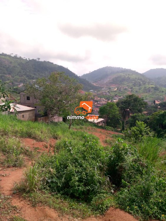Terrain Titré à vendre à Febe village