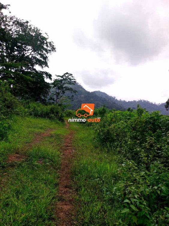 Terrain titré à vendre à 2km de febe village