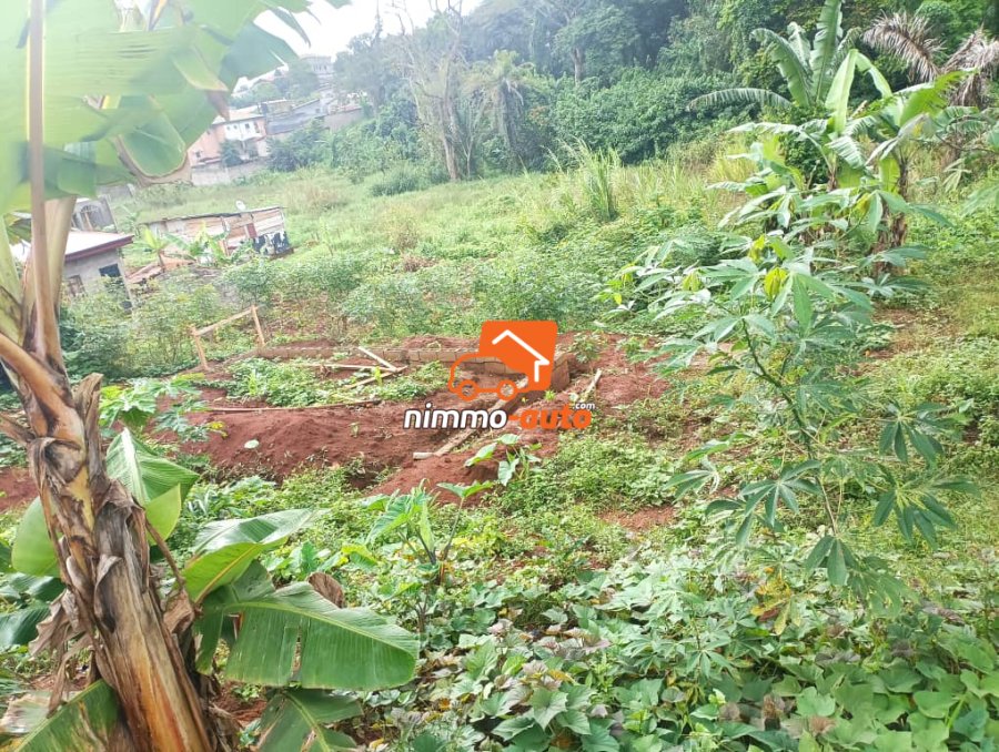 1000m² à SOA ANDON, 2km après la sous préfecture !