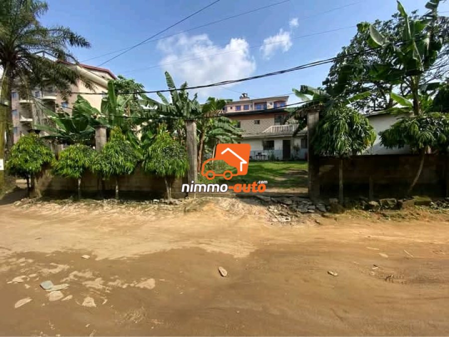 Terrain Titré de 450m² à vendre à Kotto, Douala
