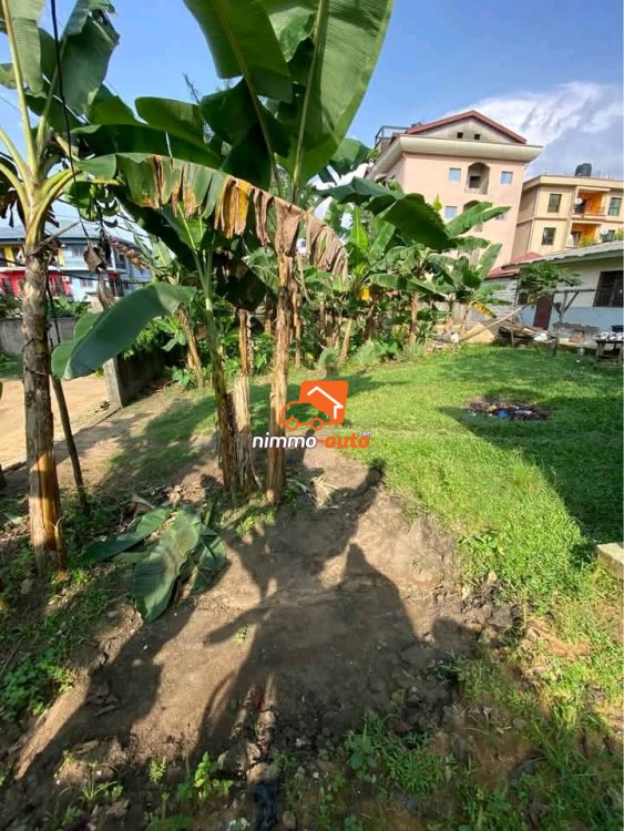 Terrain Titré de 450m² à vendre à Kotto, Douala