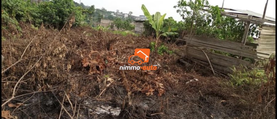 Terrain à vendre à Logbessou