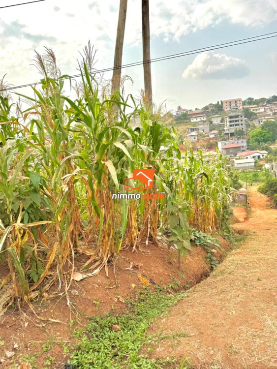 terrain titré a vendre qu compl'ex beac Mvan