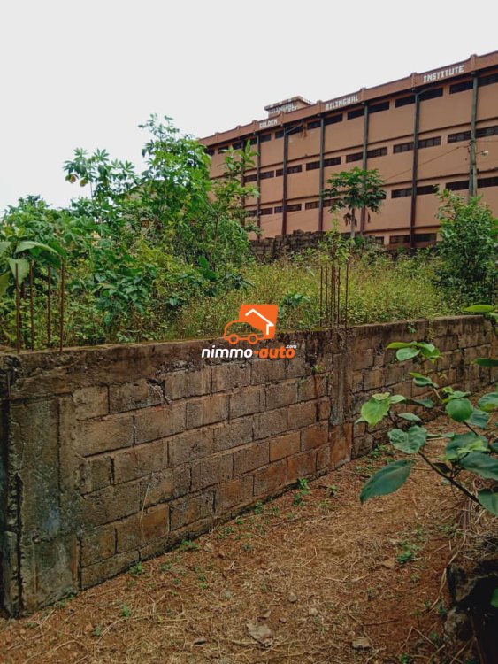 terrain d'habitation a vendre à nkolmesseng