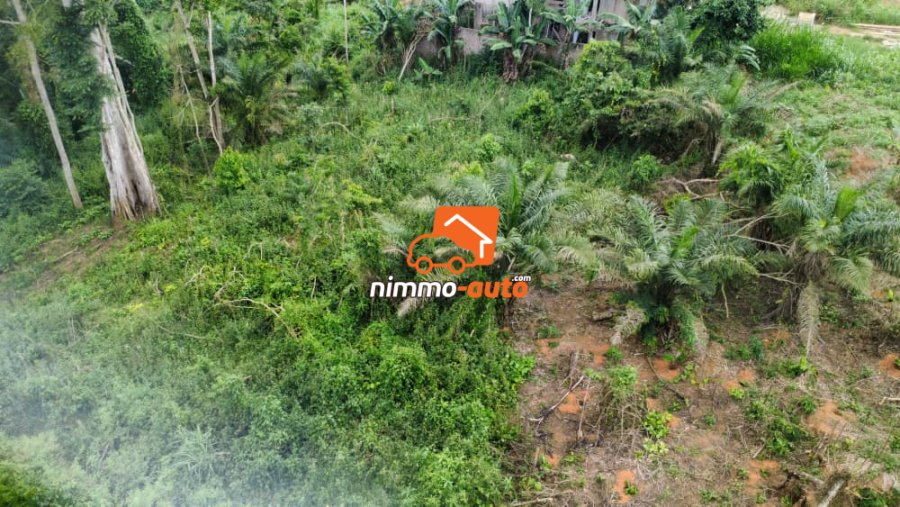 terrain d'habitation a vendre à eyang