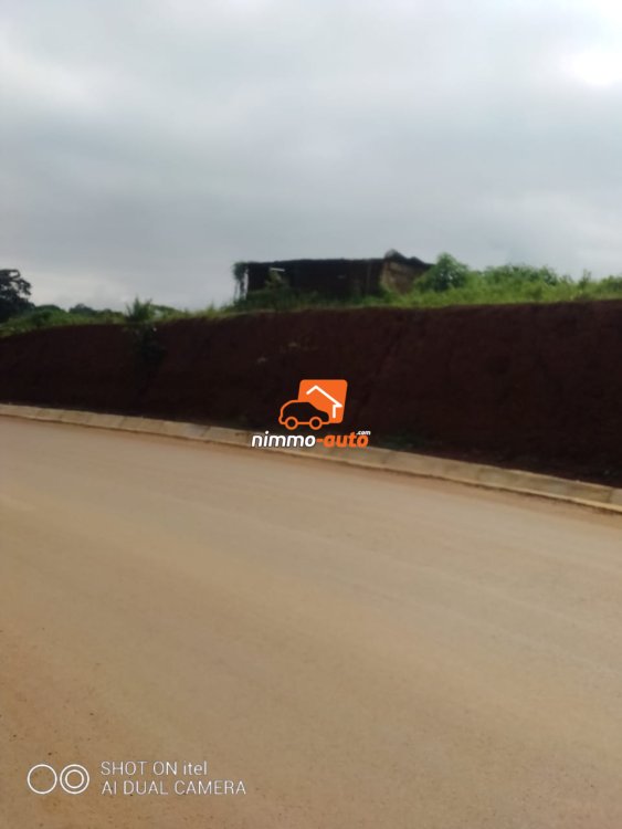 terrain  à vendre à soa en bordure de route