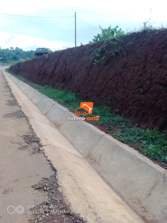 terrain  à vendre à soa en bordure de route