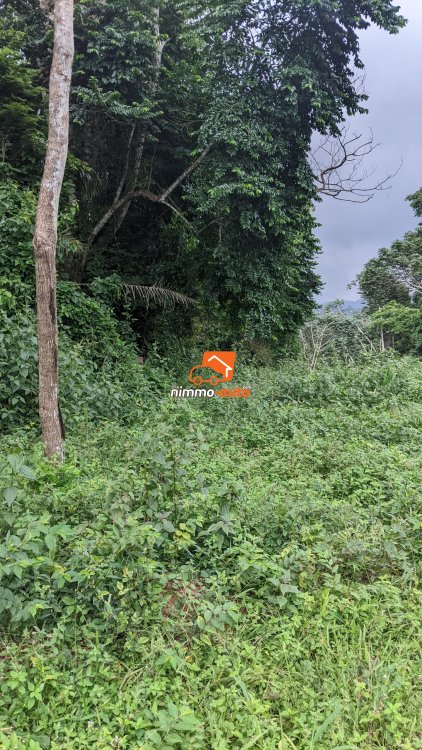 terrain d'habitation