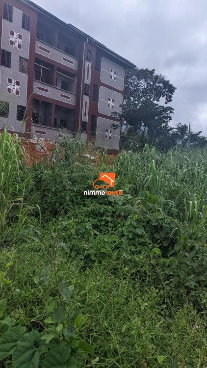 terrain d'habitation a vendre à eyang