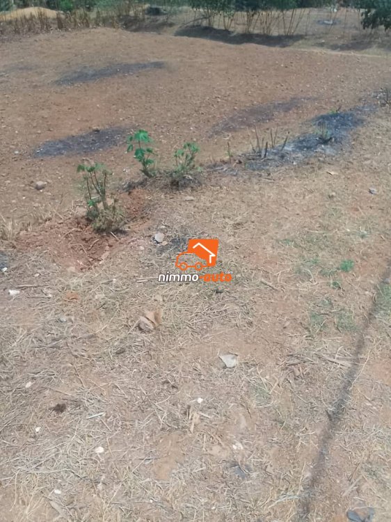 Terrain à vendre à OBOBOGO